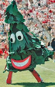 stanfordtree.jpg