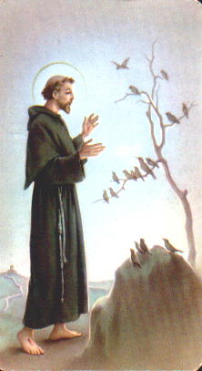 stfrancis.jpg